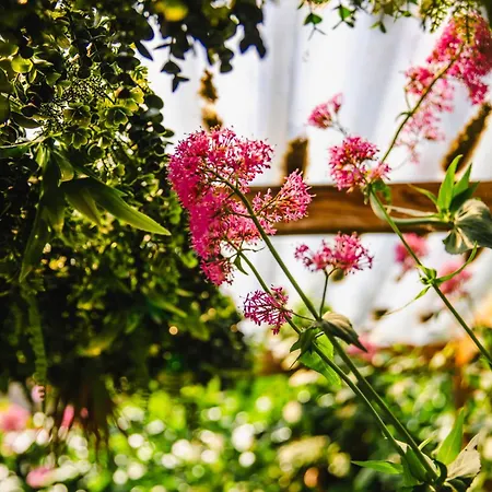 Fraichement Renovee - Jacuzzi Au Coeur De Апартаменти *