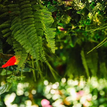 Fraichement Renovee - Jacuzzi Au Coeur De Кан