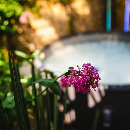 Fraichement Renovee - Jacuzzi Au Coeur De * Кан