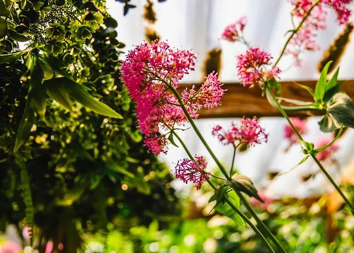 Fraichement Renovee - Jacuzzi Au Coeur De Apartmán *