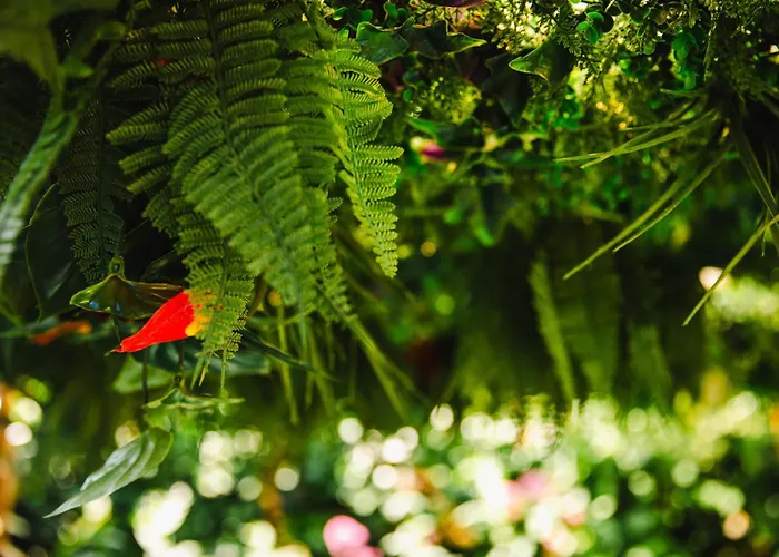 Fraichement Renovee - Jacuzzi Au Coeur De Καν